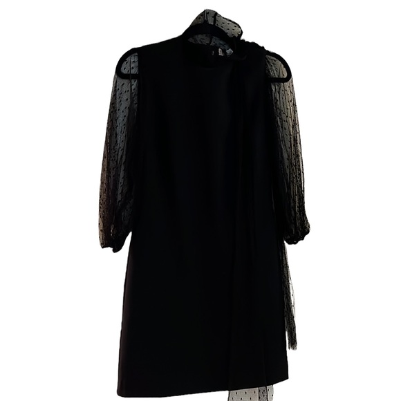 Red Valentino Mini Dress with Polka Dot Tulle Application - Picture 4 of 4